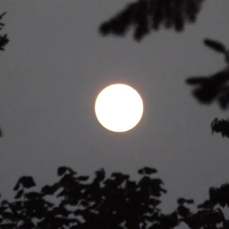 Quatre Saisons شقة *