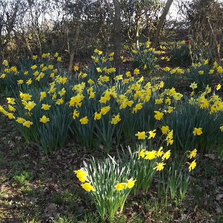 Quatre Saisons * Pressac