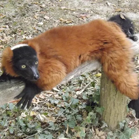 شقة Quatre Saisons